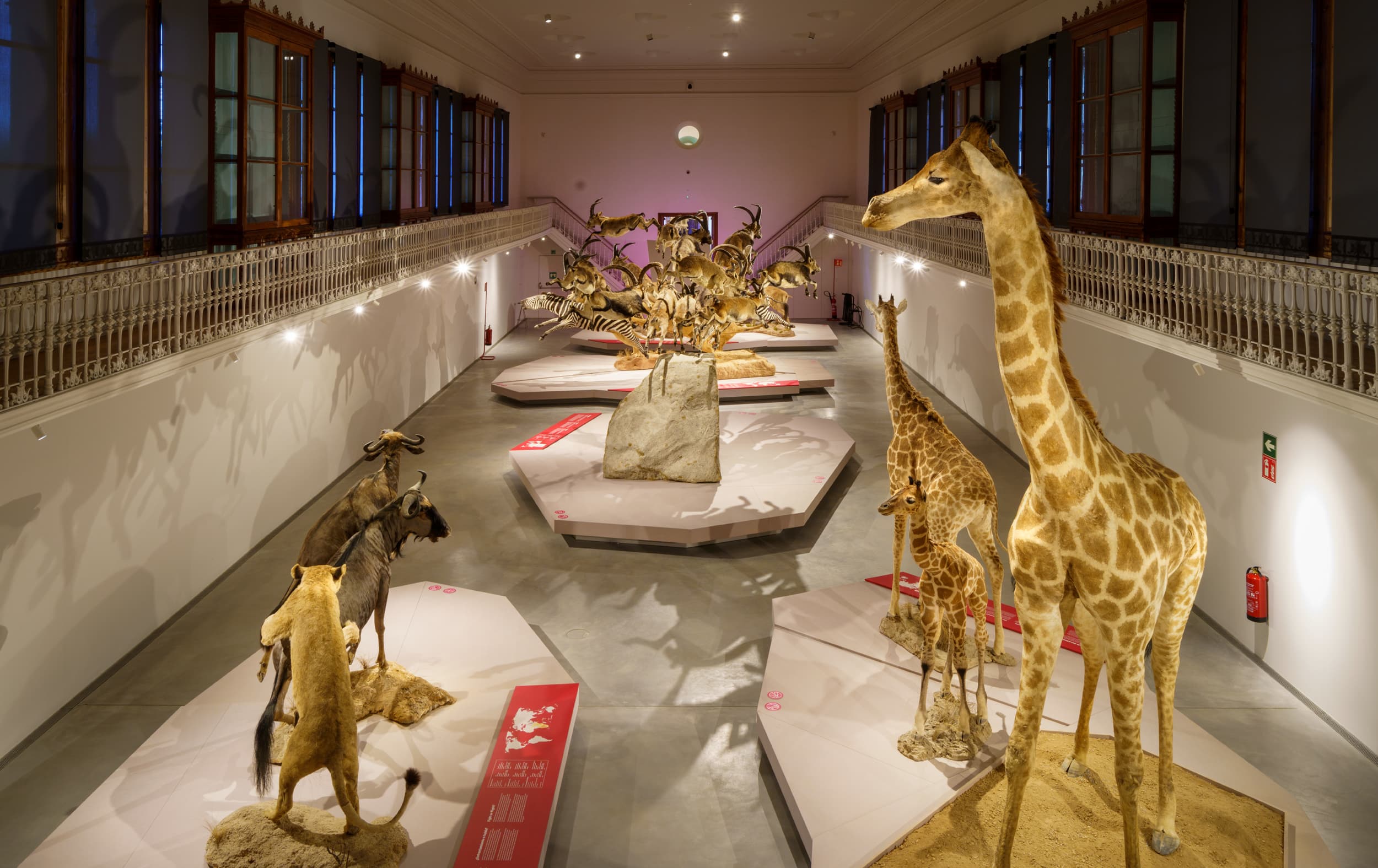 Centre Martorell d'Exposicions