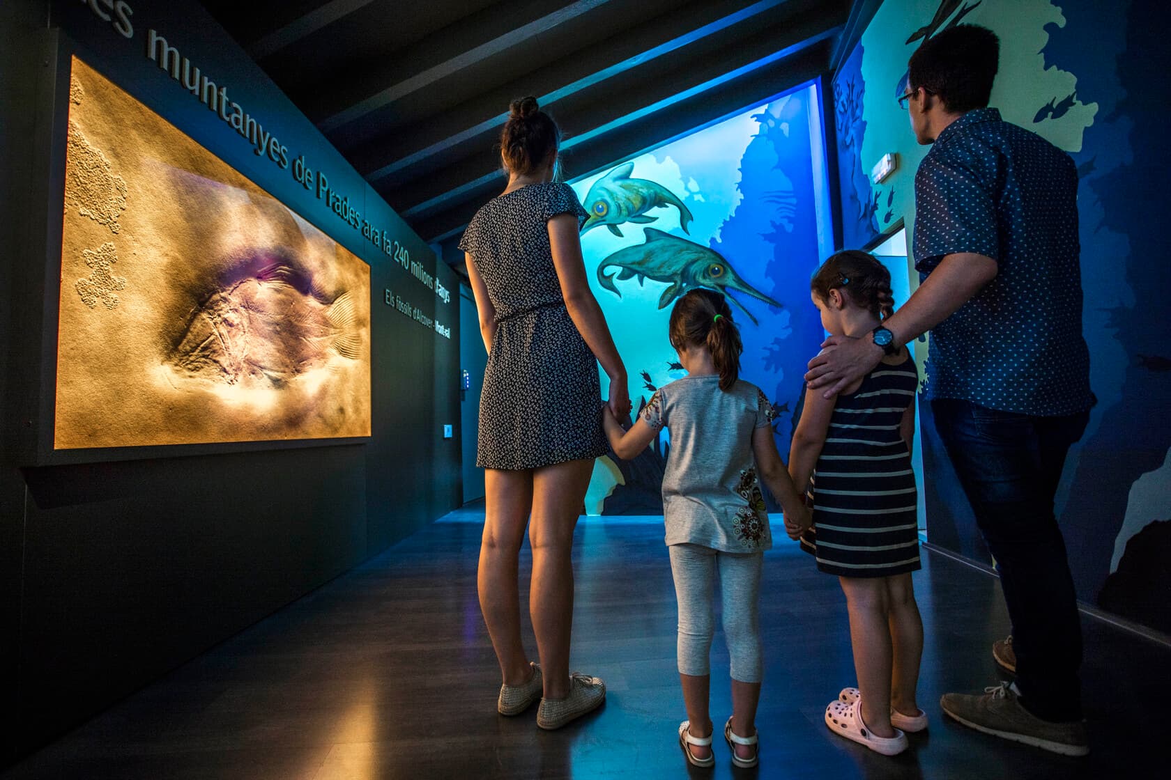 Museu d'Alcover