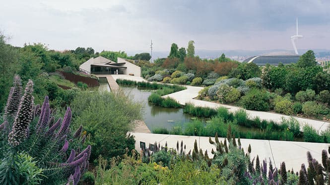 Jardí Botànic