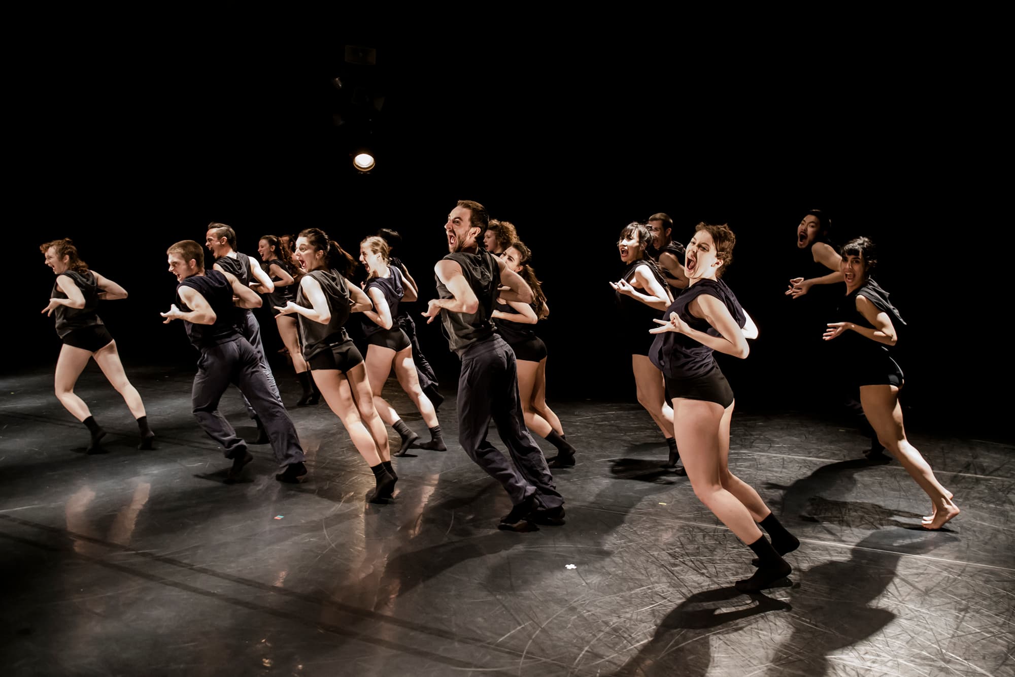 Kibbutz Contemporary Dance Company