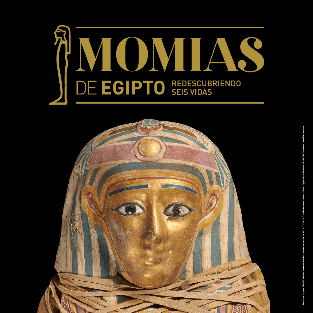 Visita comentada: Momias de Egipto