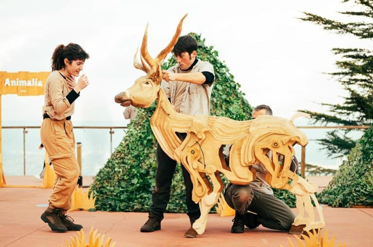 Animalia, Inc.