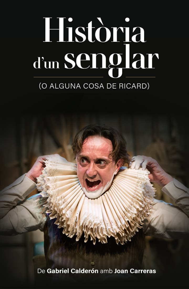 HISTÒRIA D’UN SENGLAR (O ALGUNA COSA DE RICARD)