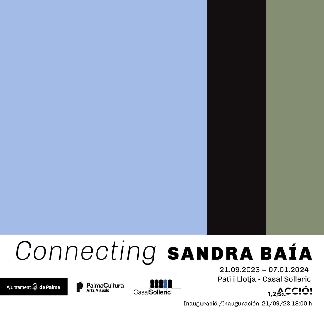 Connecting de Sandra Baía
