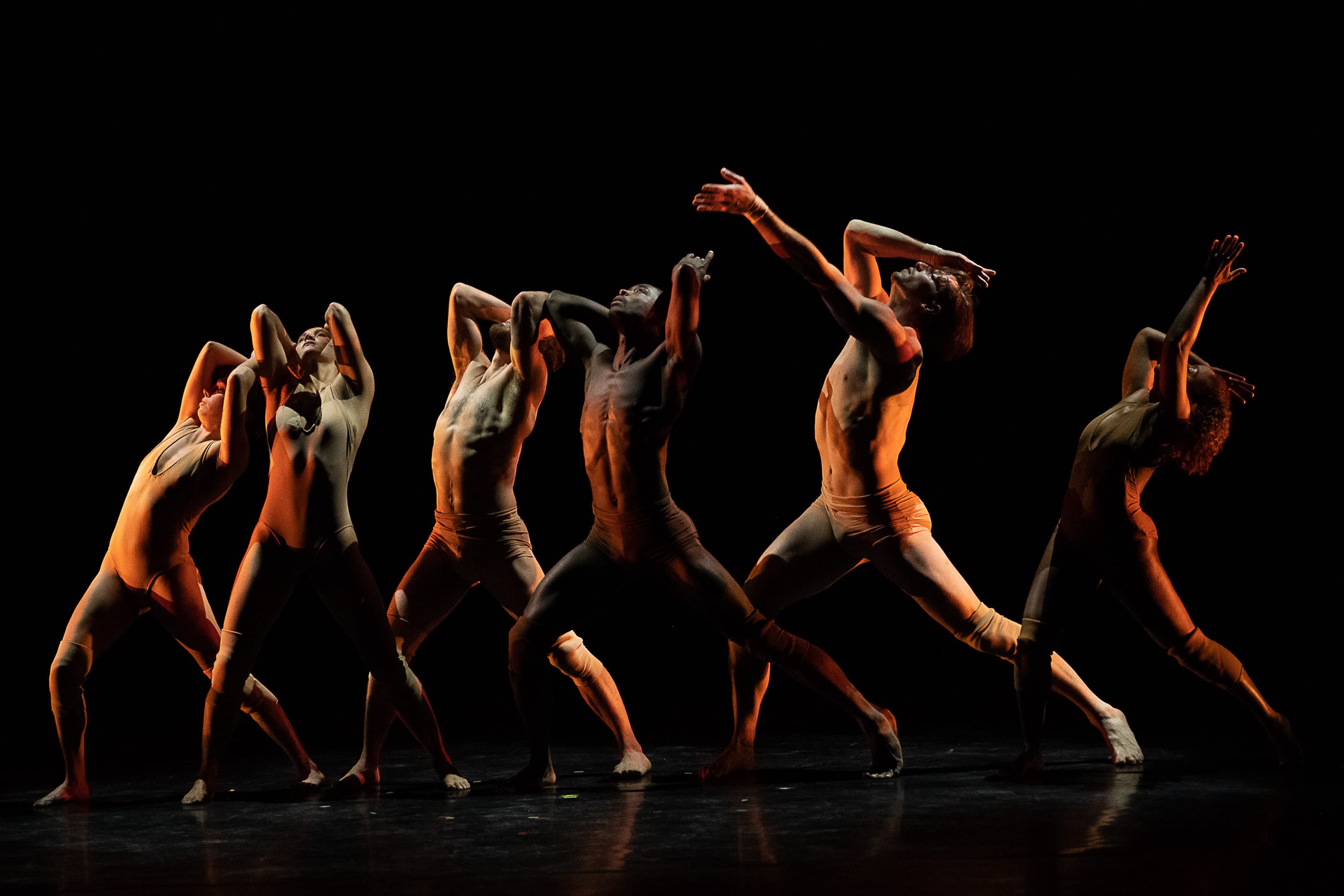 Pilobolus