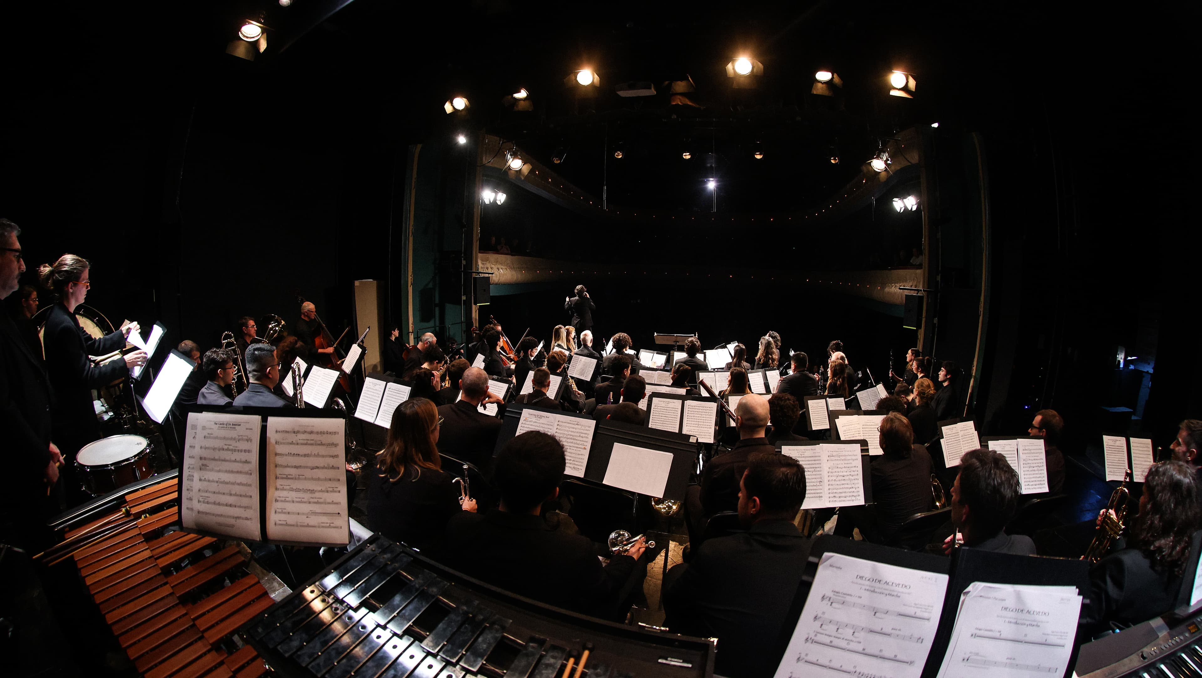 Concert de Santa Cecília