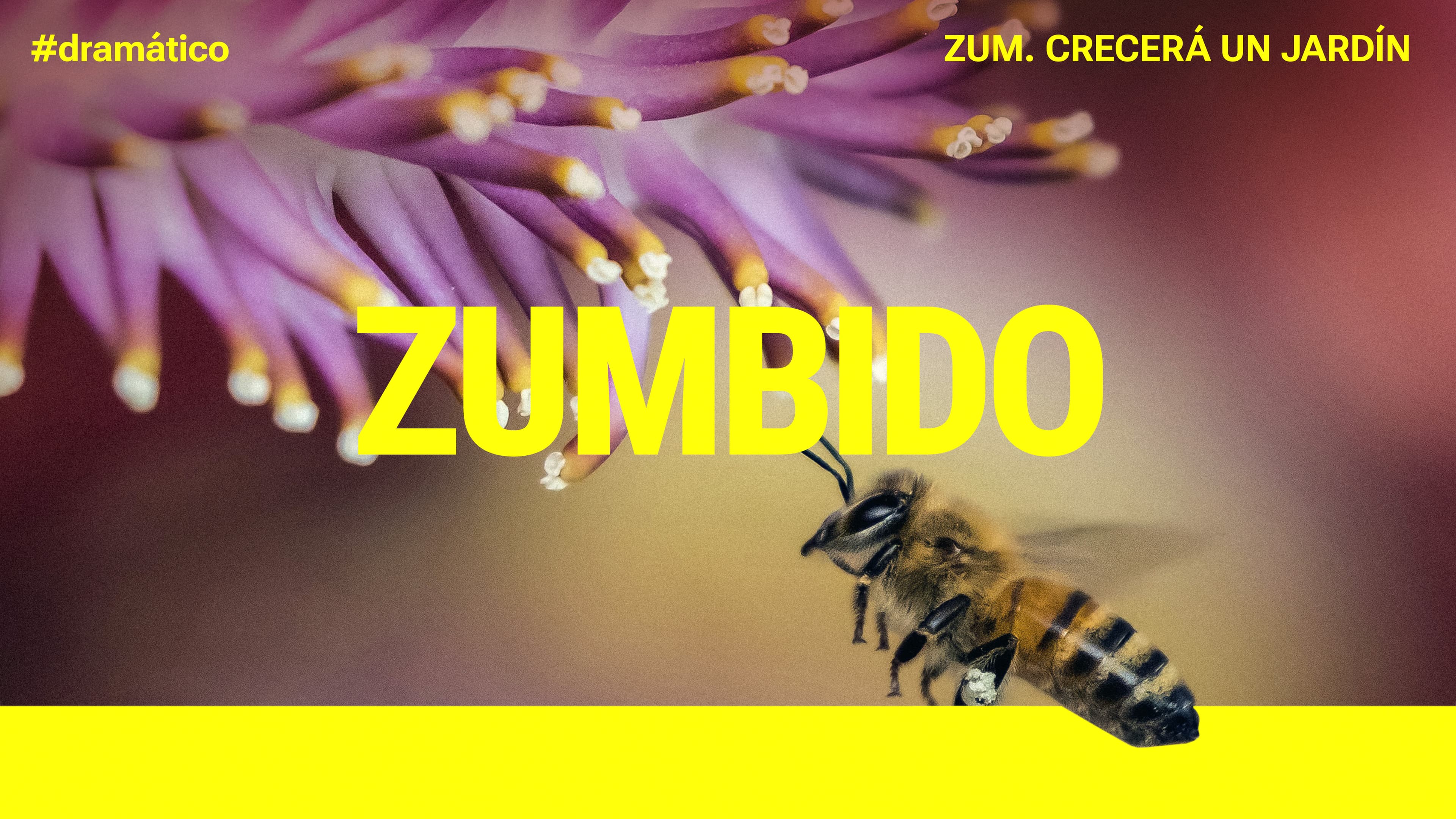 Zum. Crecerá un jardín.