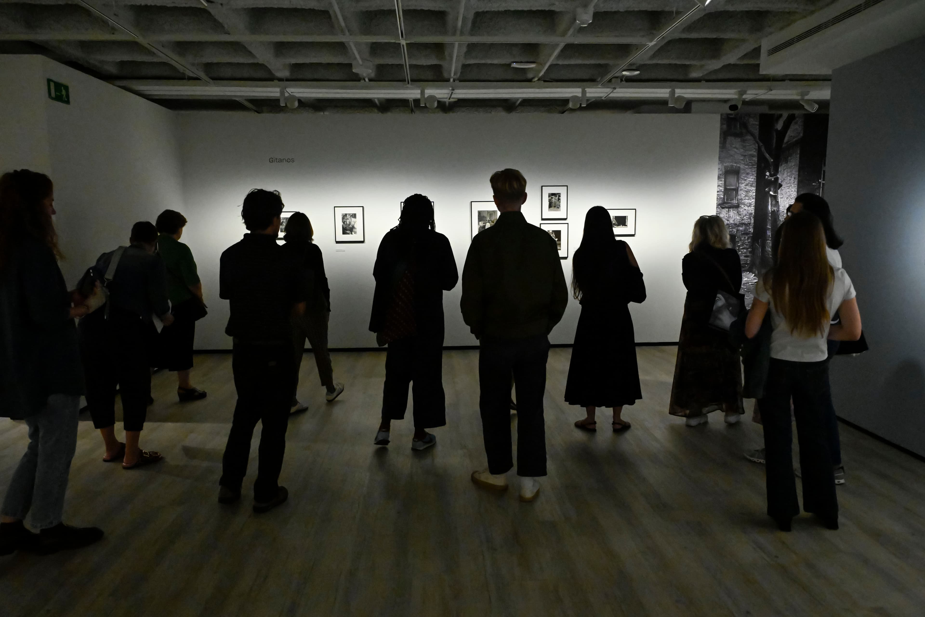 Visita guiada a les dues exposicions actuals