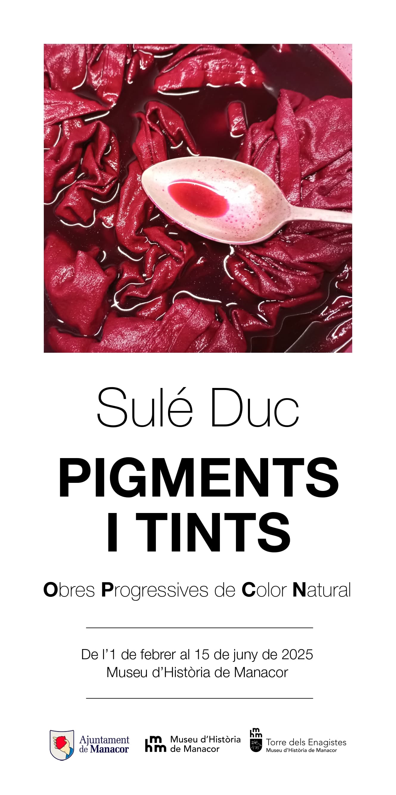 PIGMENTS I TINTS. Obres Progressives de Color Natural