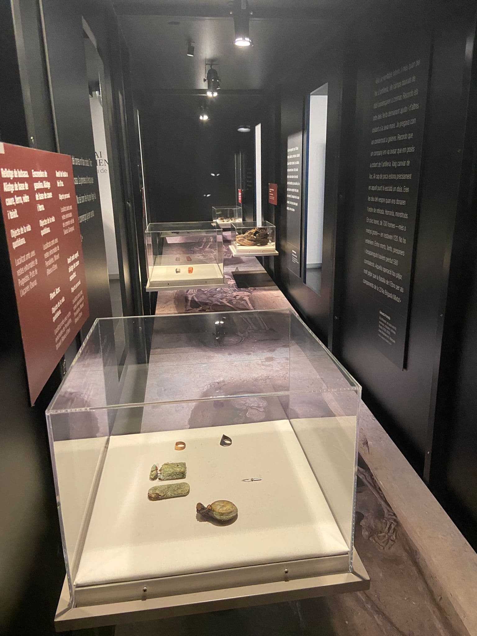 Visita guiada a l'exposició temporal "On són? 85 anys d'exhumacions de fosses comunes de la Guerra Civil a Catalunya"