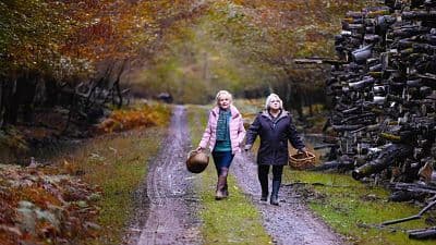 Cuando cae el otoño