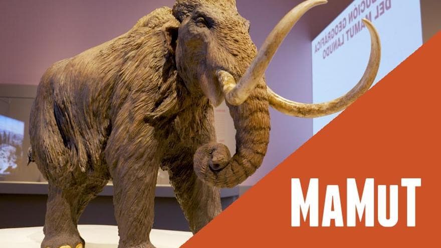 Visita comentada: Mamut. El gegant de l’edat de gel
