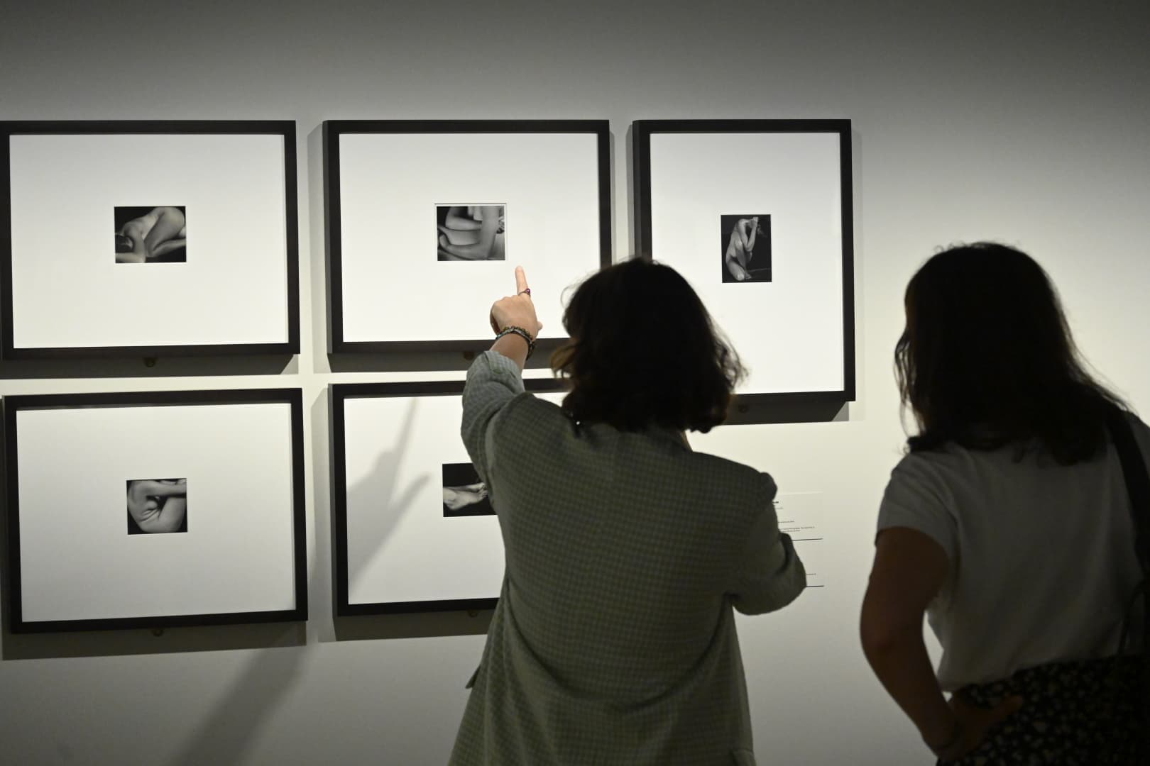 Visita guiada a les dues exposicions actuals