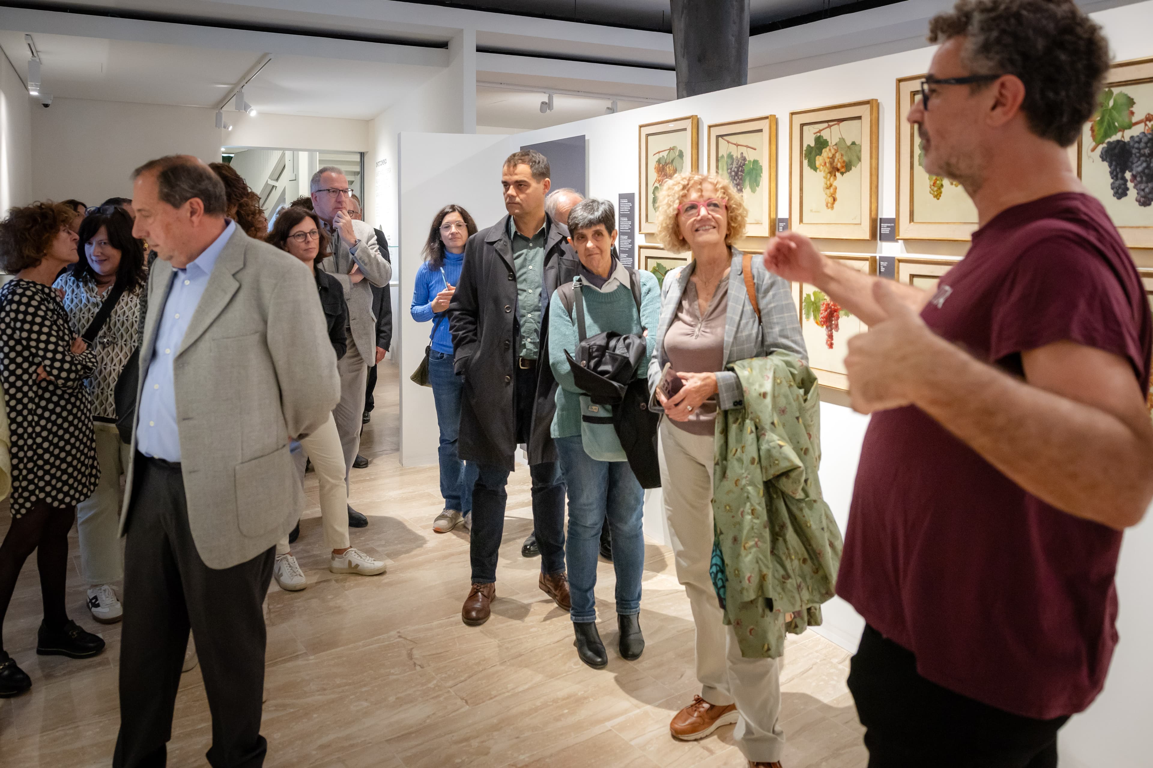 Visita comentada a l'exposició estable del VINSEUM