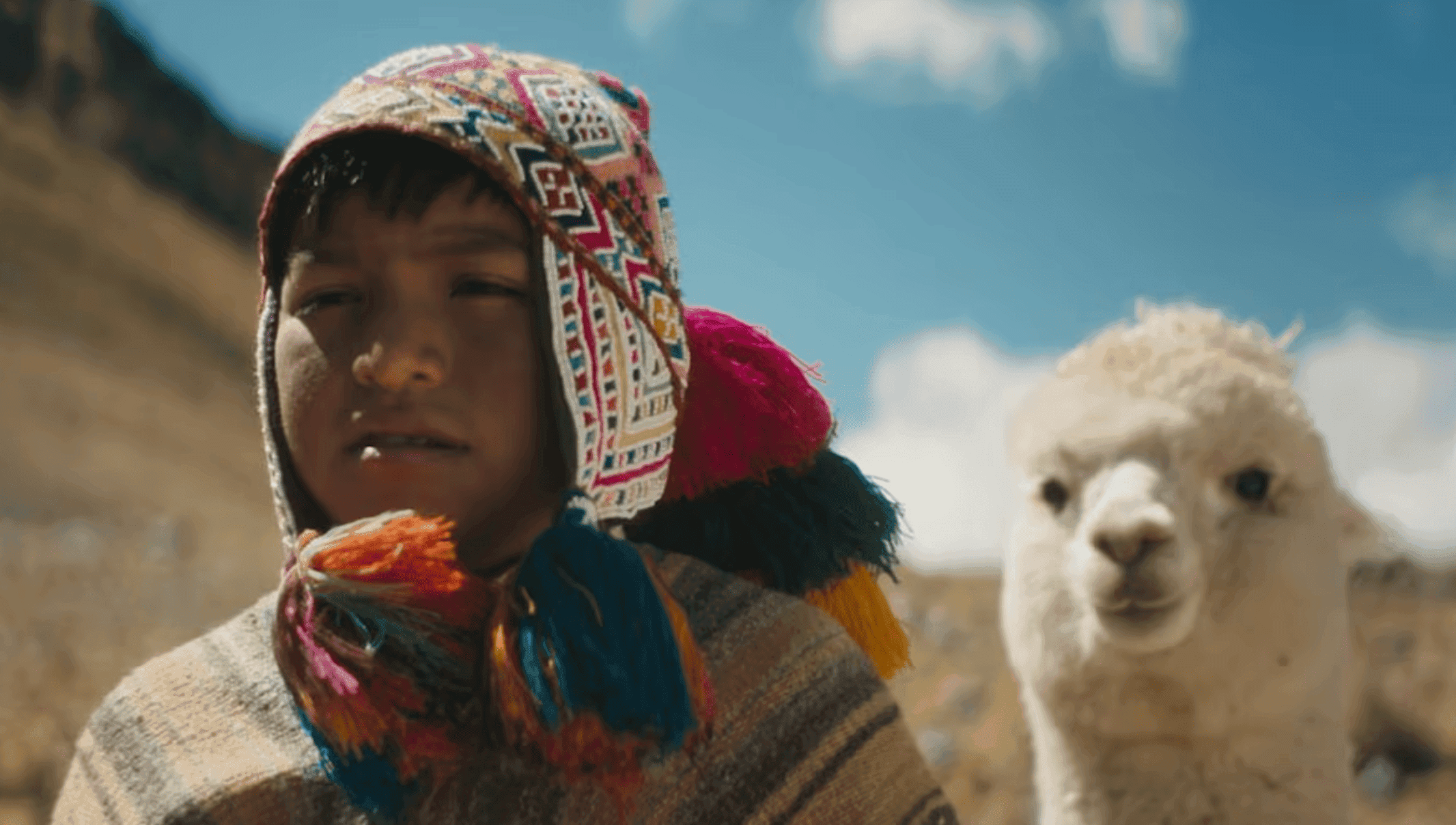 El Meu Primer Festival: Raíz