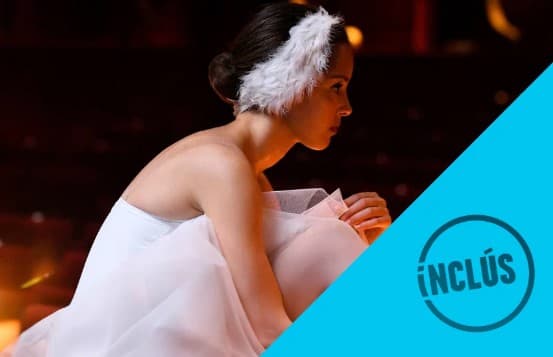 Selecció oficial del Festival Inclús 2024. Sessió V