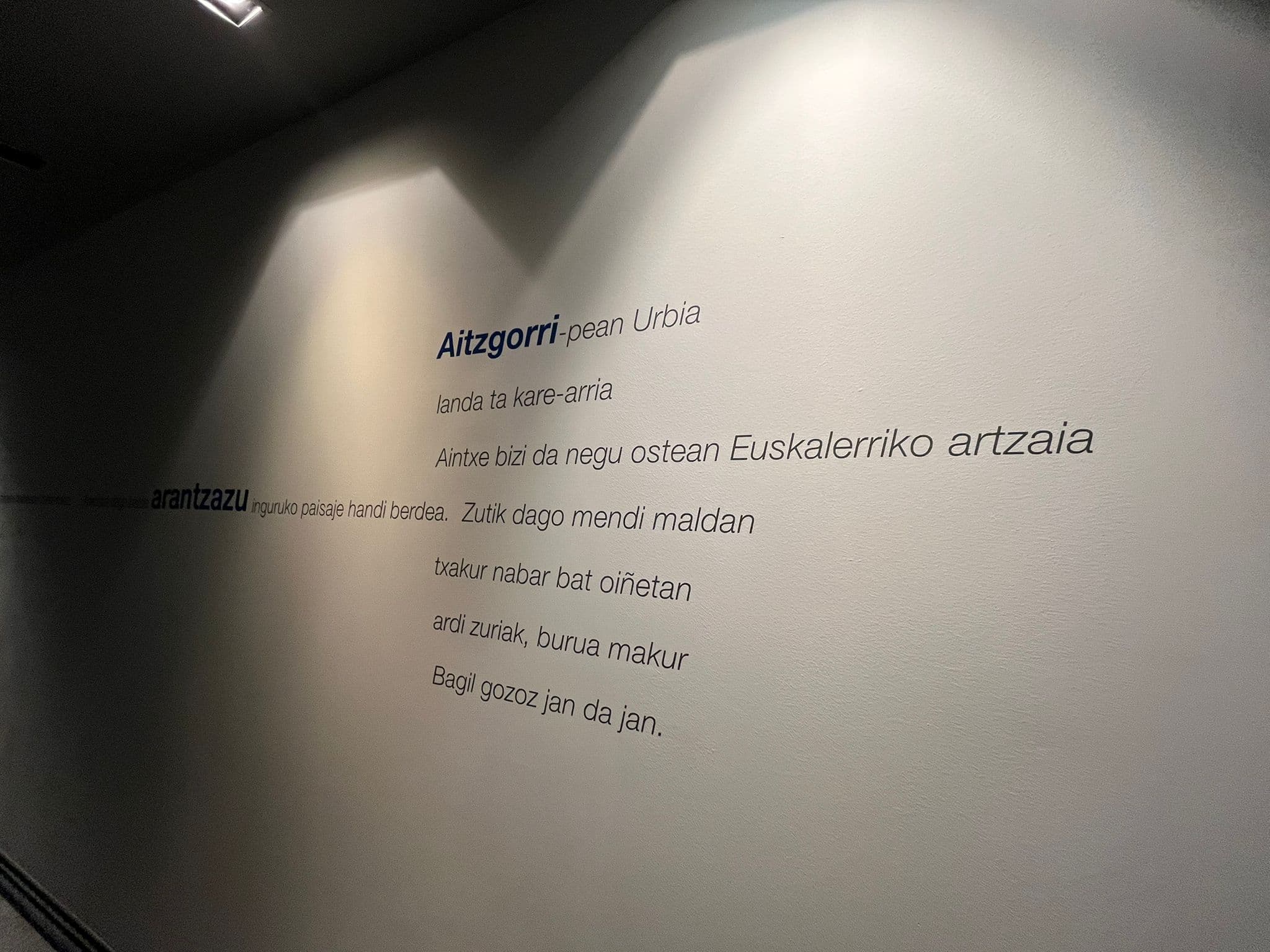 Bisita gidatua Arantzazu parketxera