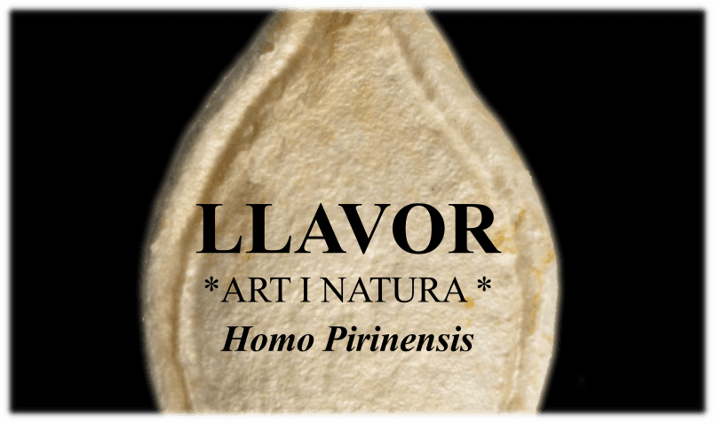 Homo Pirenensis