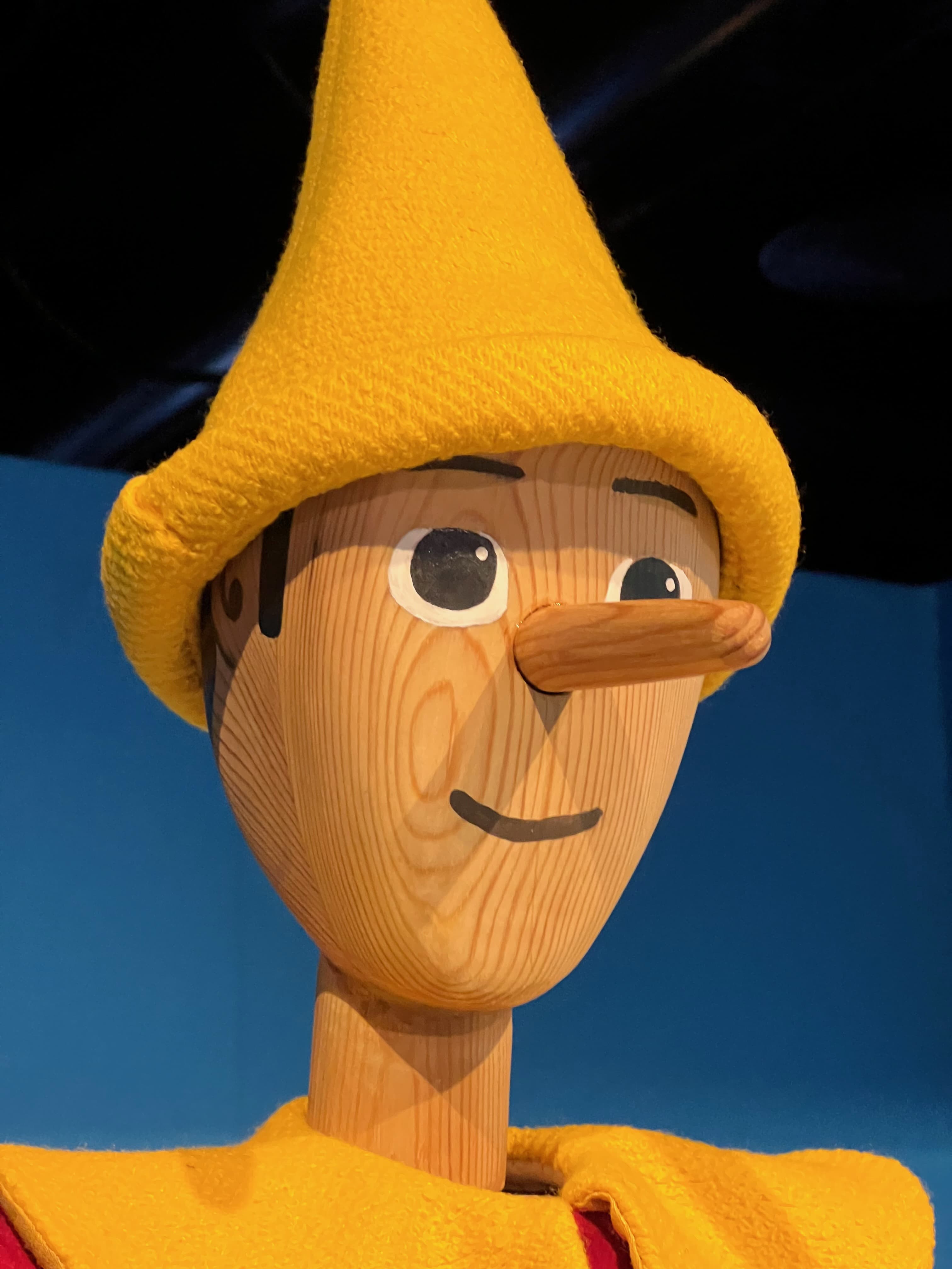 PINOCCHIO 3D