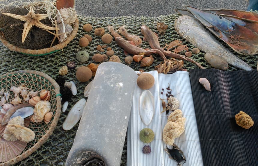 Explora: La platja