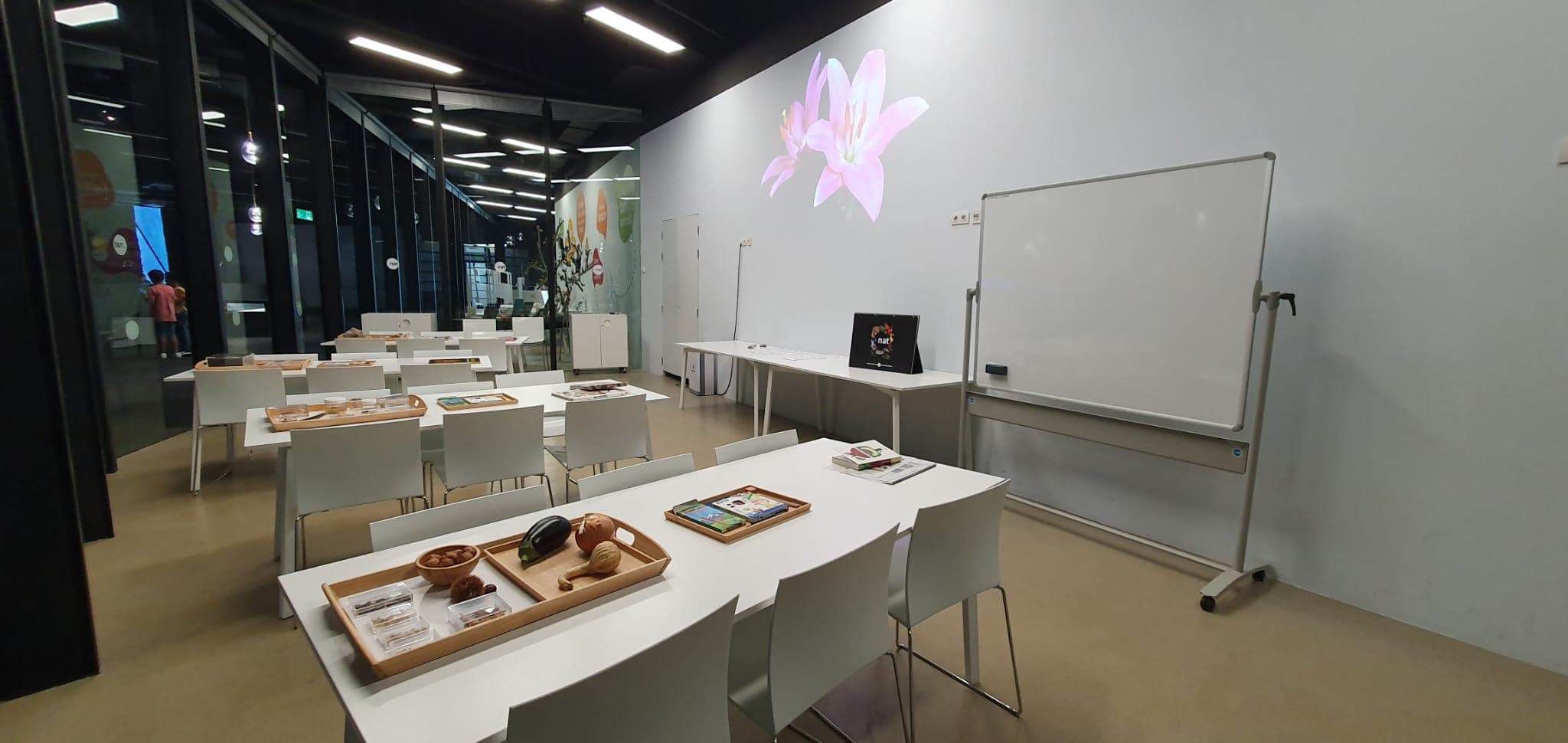 WOW! Flipbooks. Natura animada - Casals d'estiu