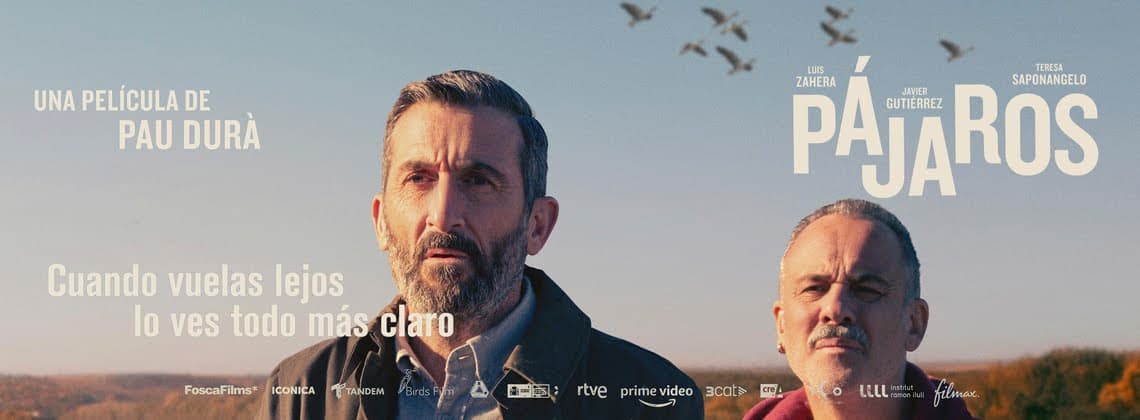 Pájaros