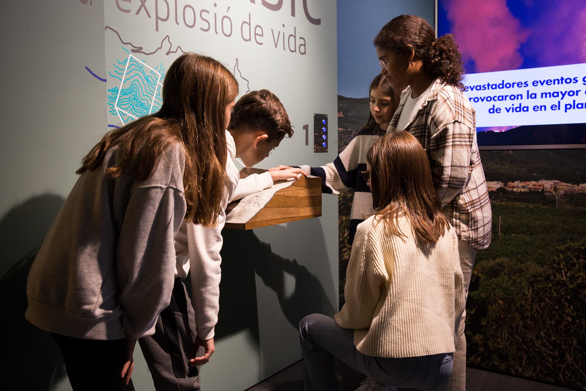 Museo de Alcover