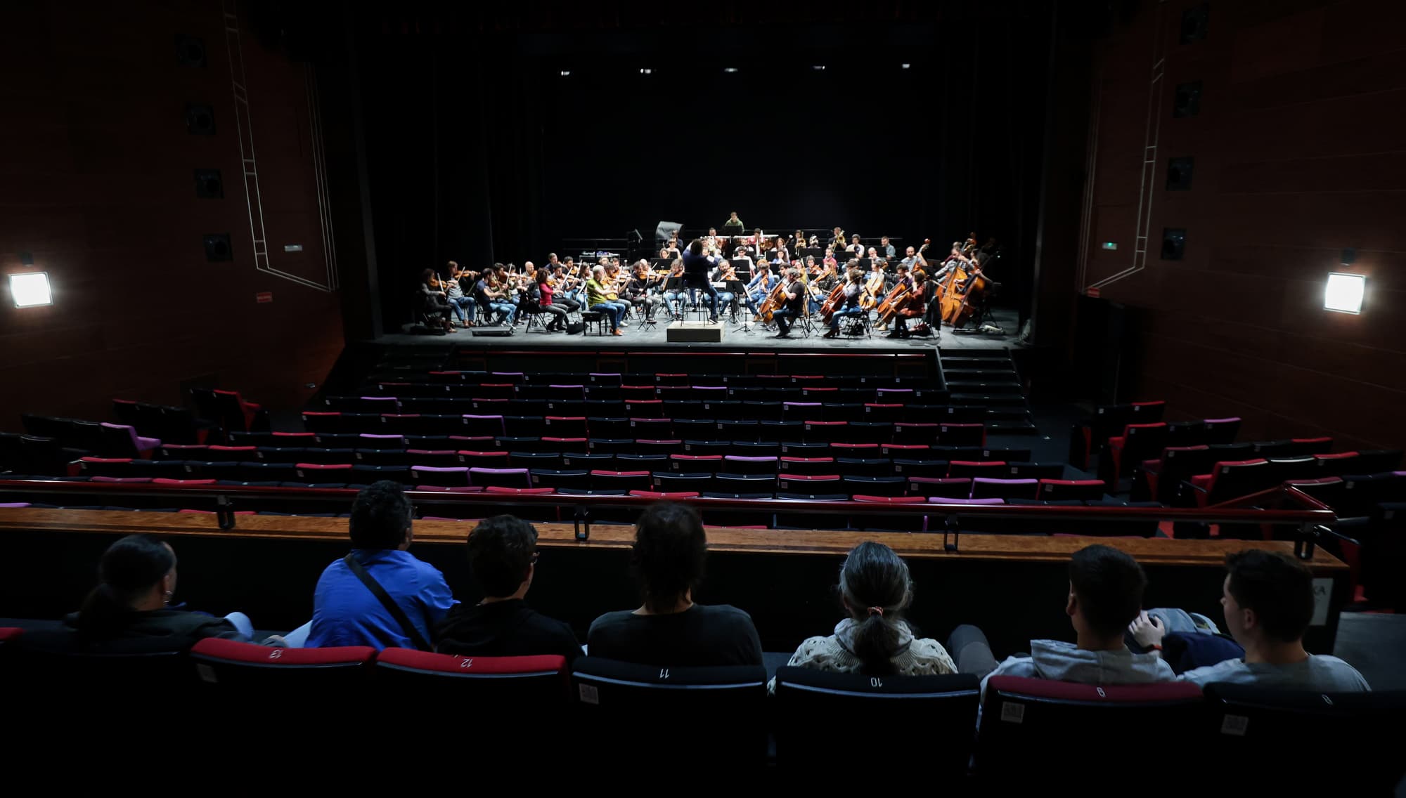 Un matí d’orquestra amb la Franz Schubert Filharmonia