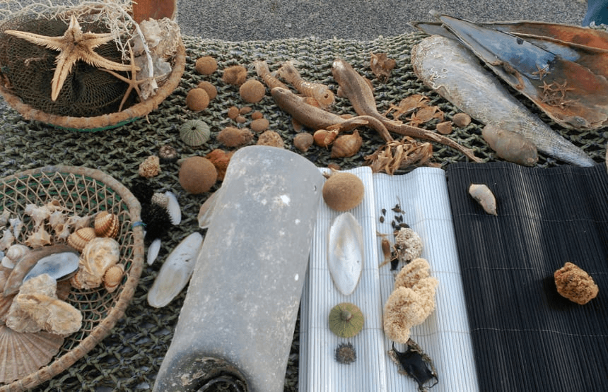Explora: La platja