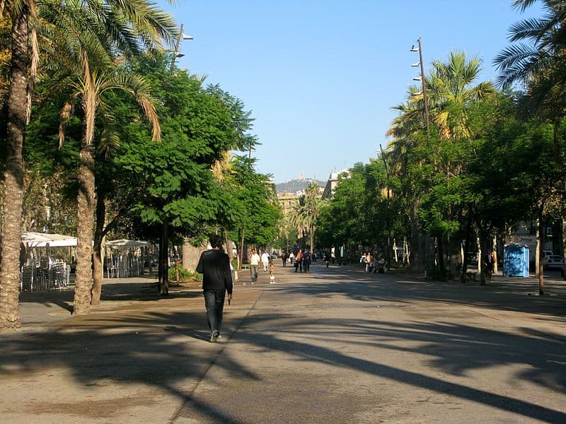 El Raval. Territori cosmopolita
