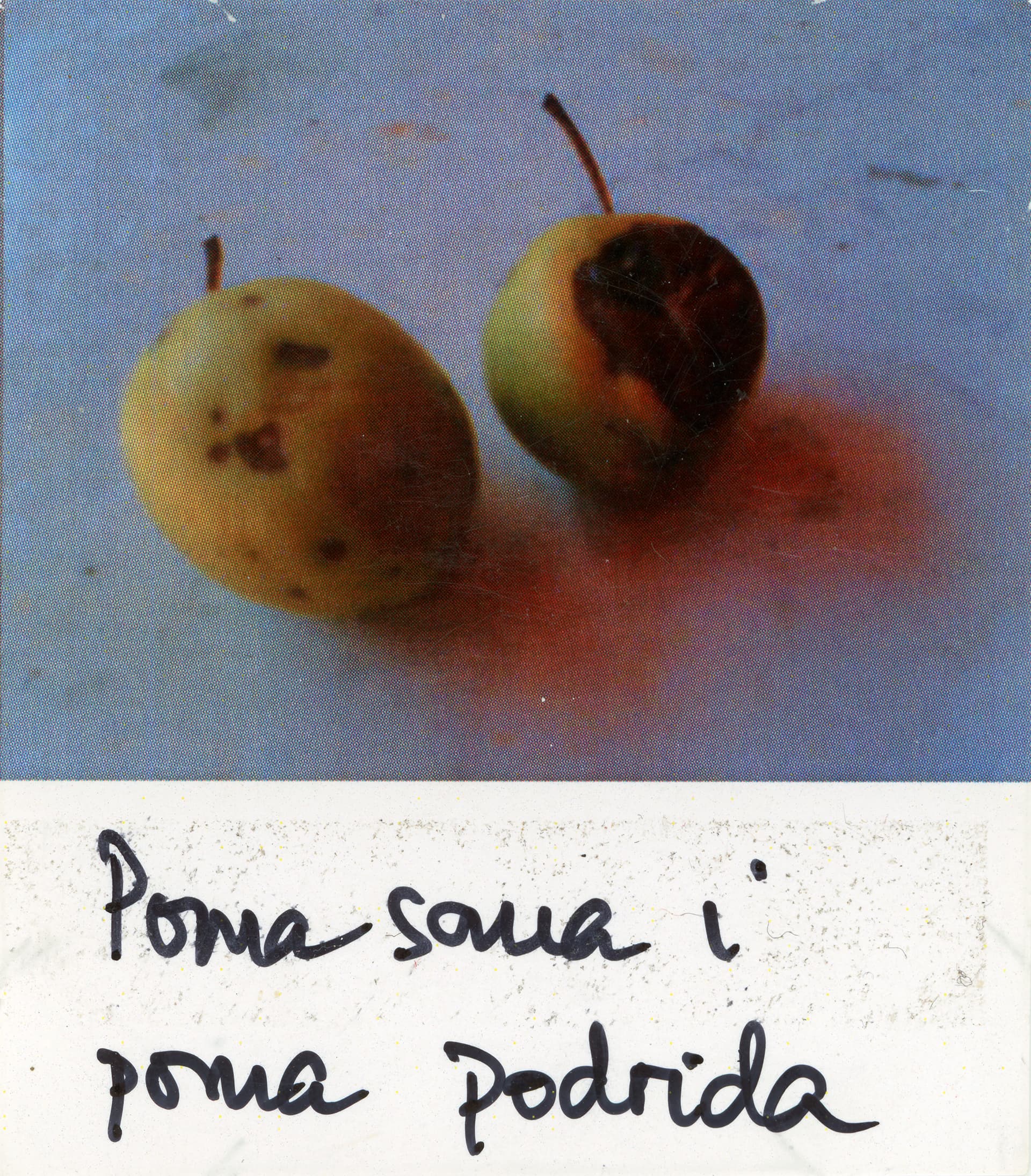 Fotografia, memòria i ciència
