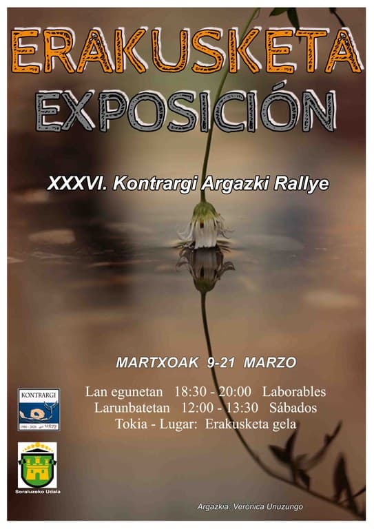 XXXVI. Argazki Rallya