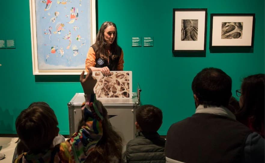 Visita dinamizada a "Chez Matisse. El legado de una nueva pintura"