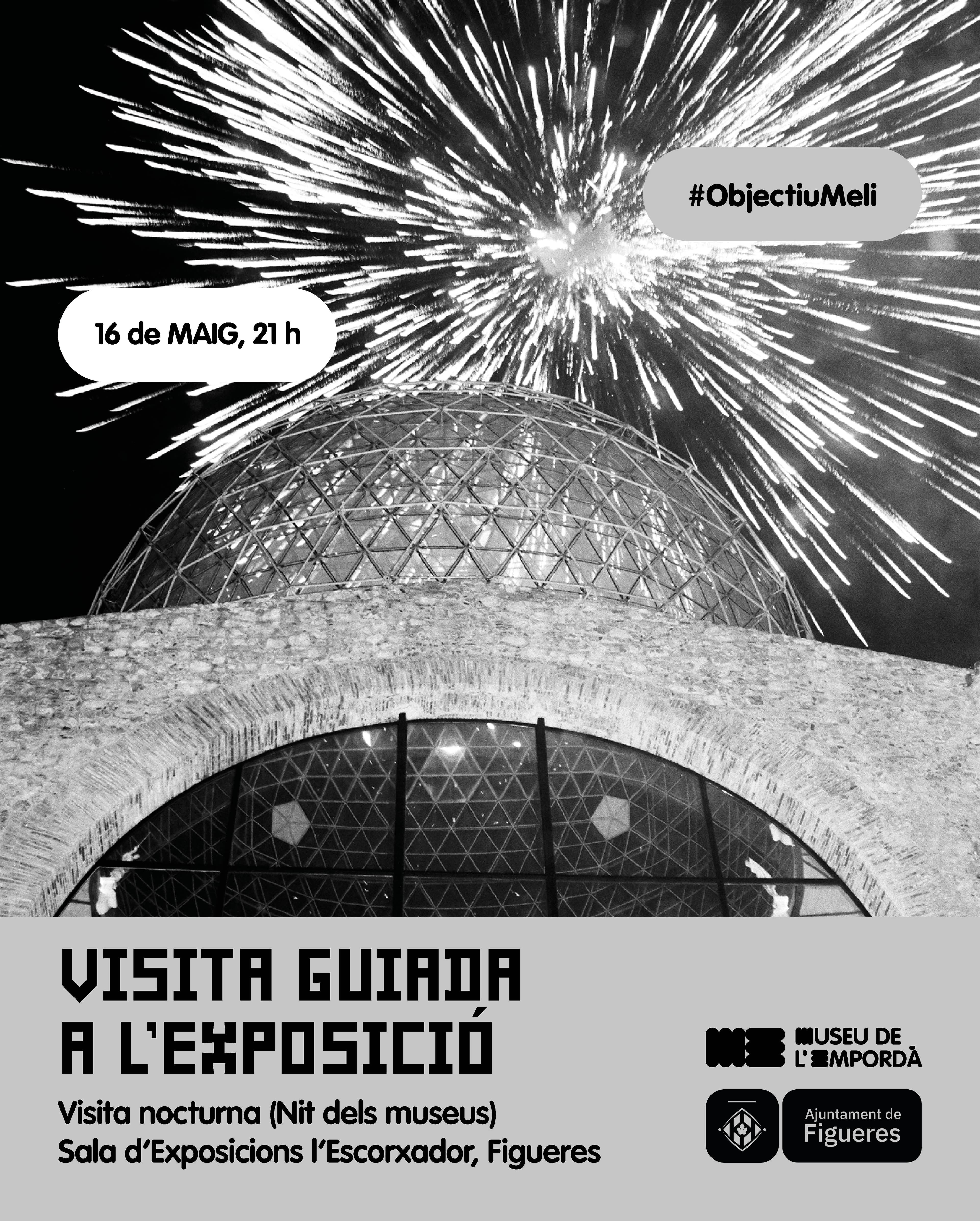 Visita comentada a l'exposició "Objectiu Meli"
