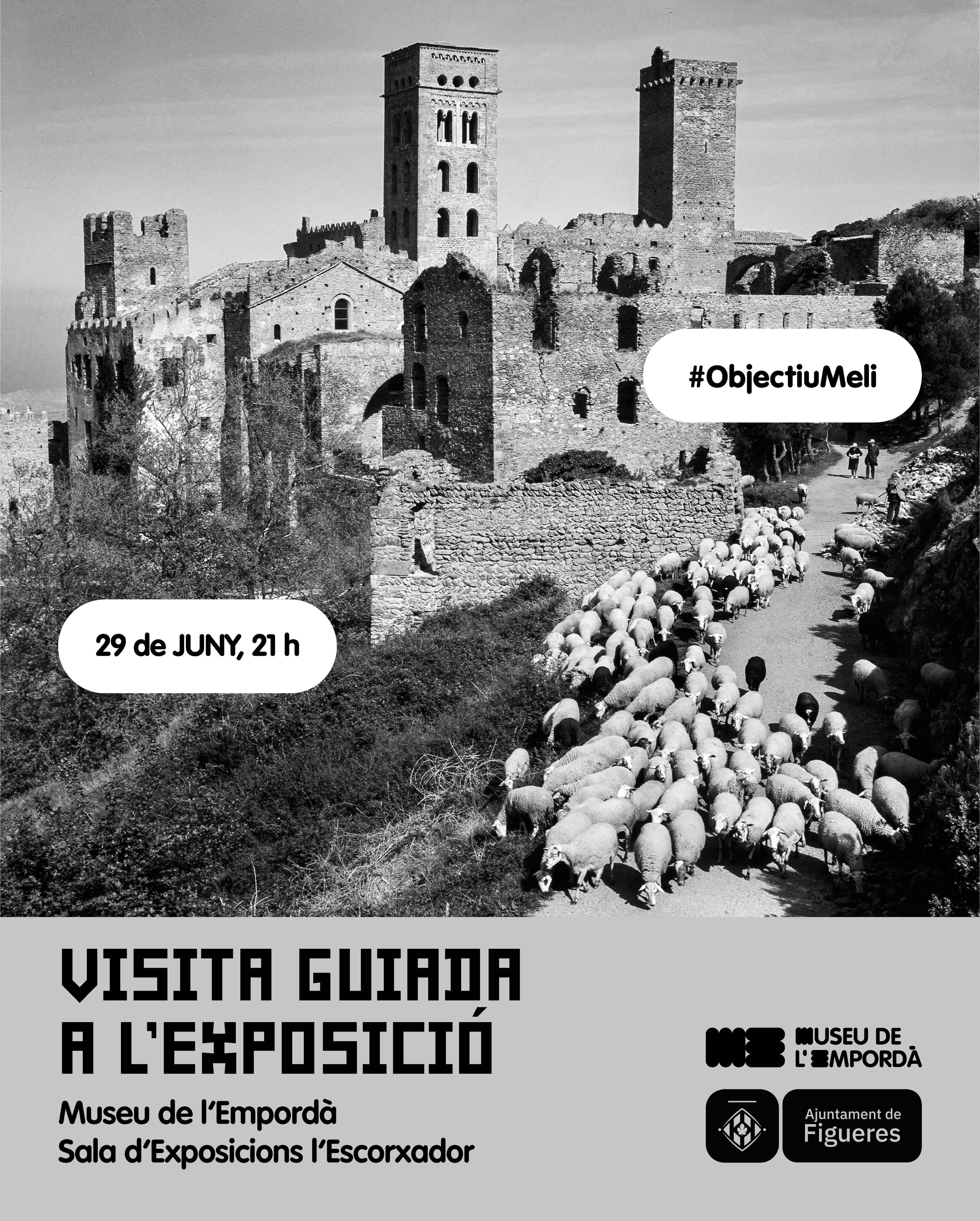 Visita comentada a l'exposició "Objectiu Meli"