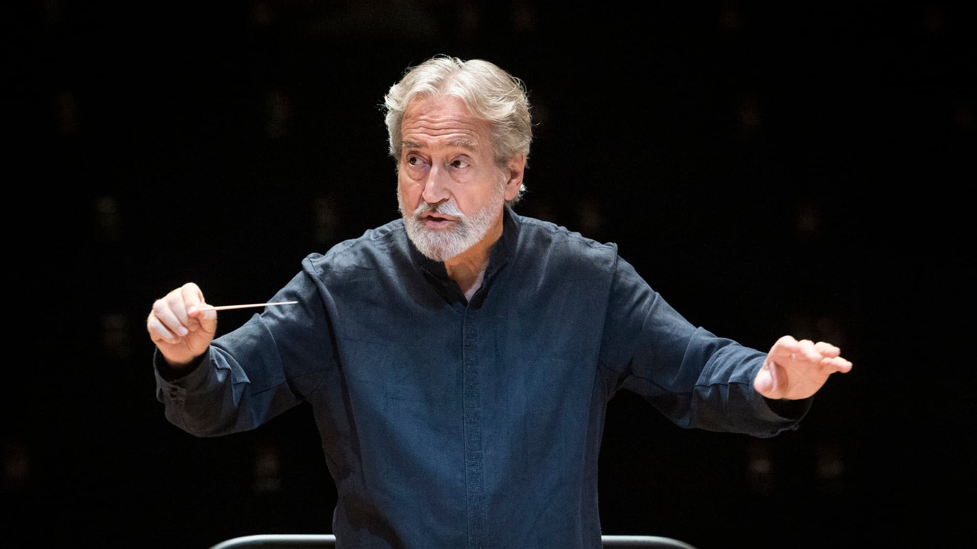 EL BARROC VENECIÀ A L’OSPEDALE DELLA PIETÀ. Jordi Savall - El so original