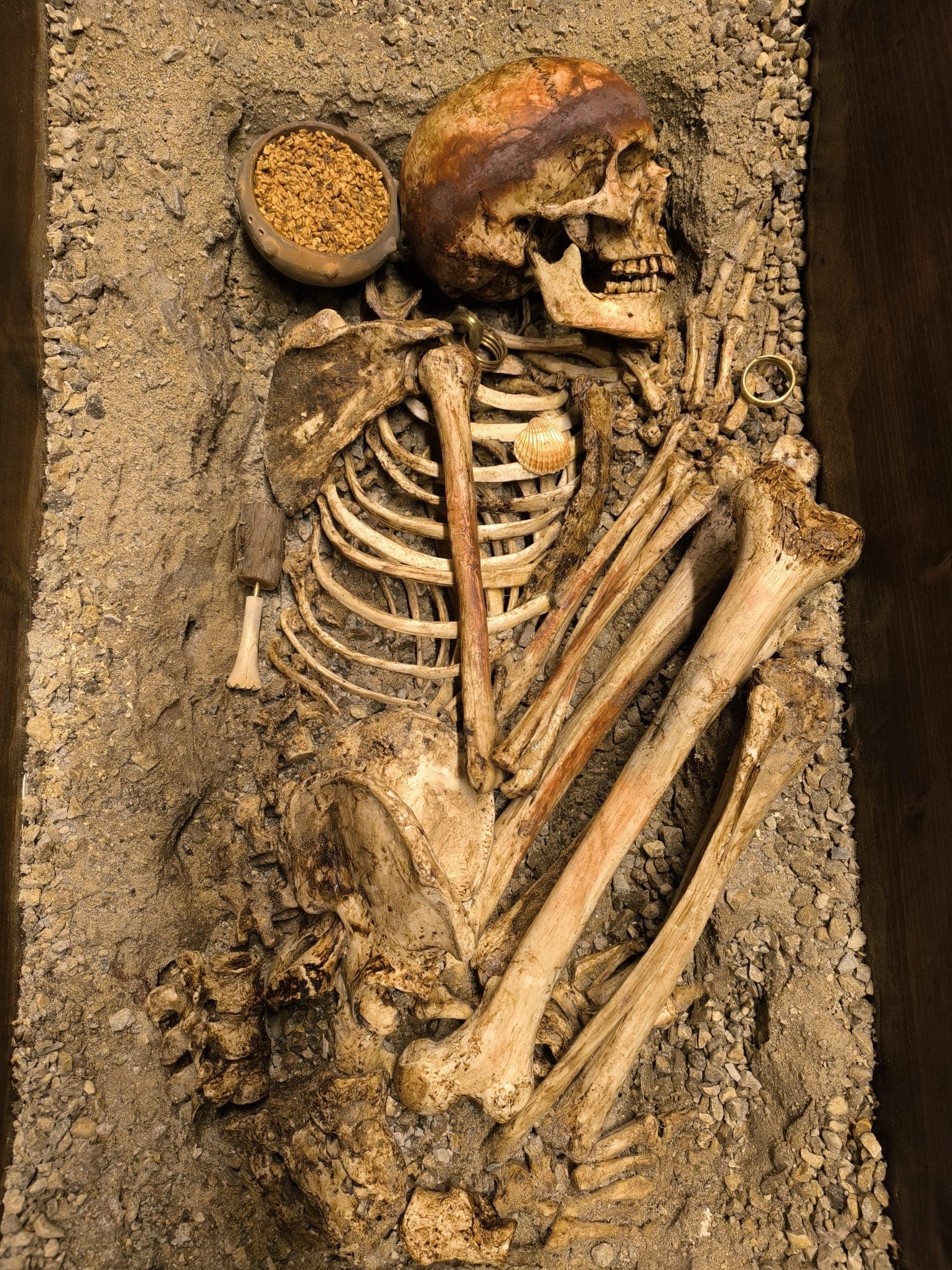 Vida i mort: enterraments durant la prehistòria