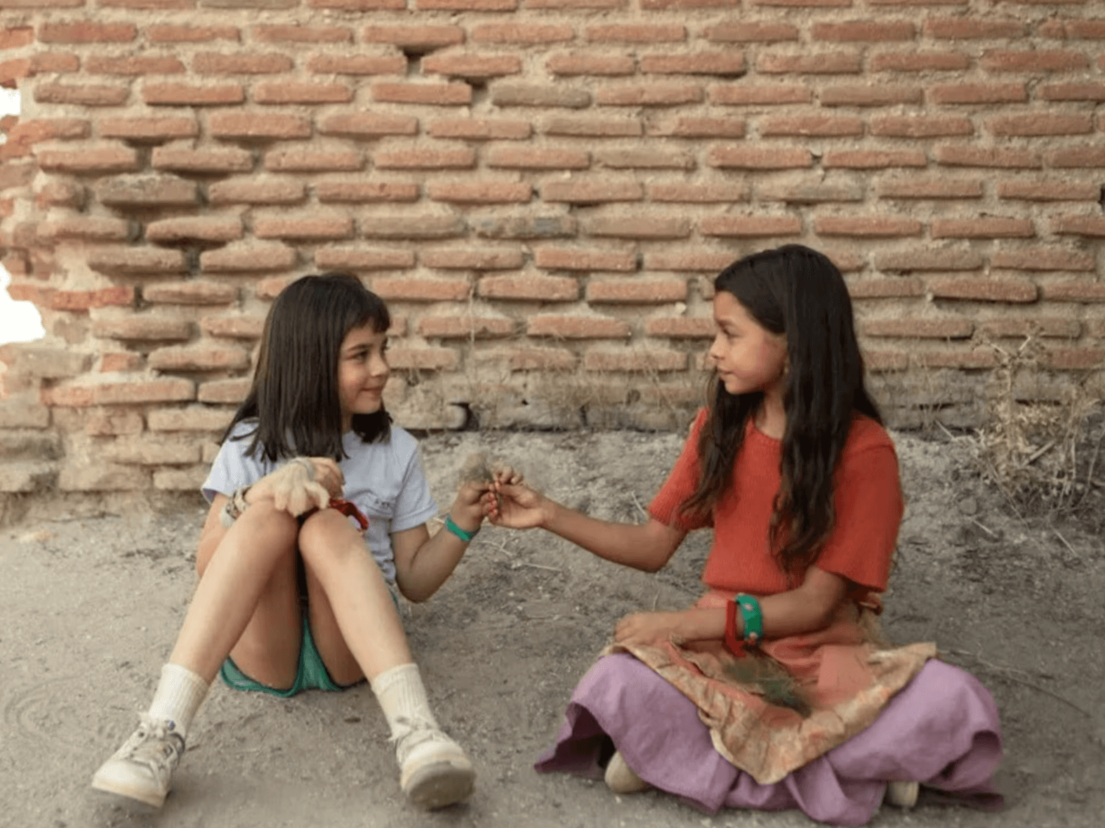 La niña de la cabra