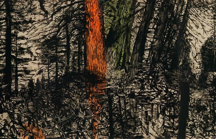 JOC DE PISTES: EL BOSC DE LLET