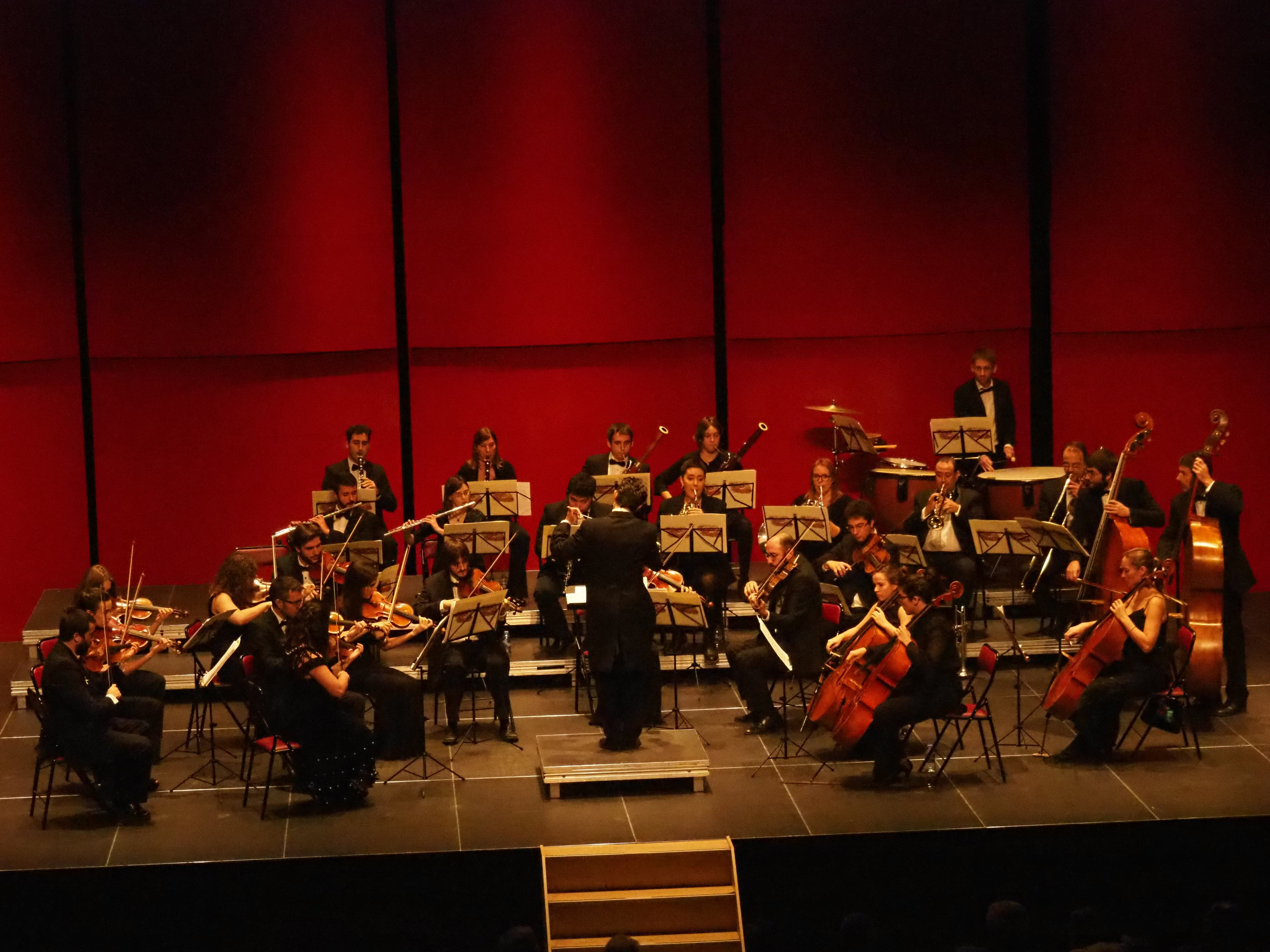Concert de nadal. Valsos i Polques