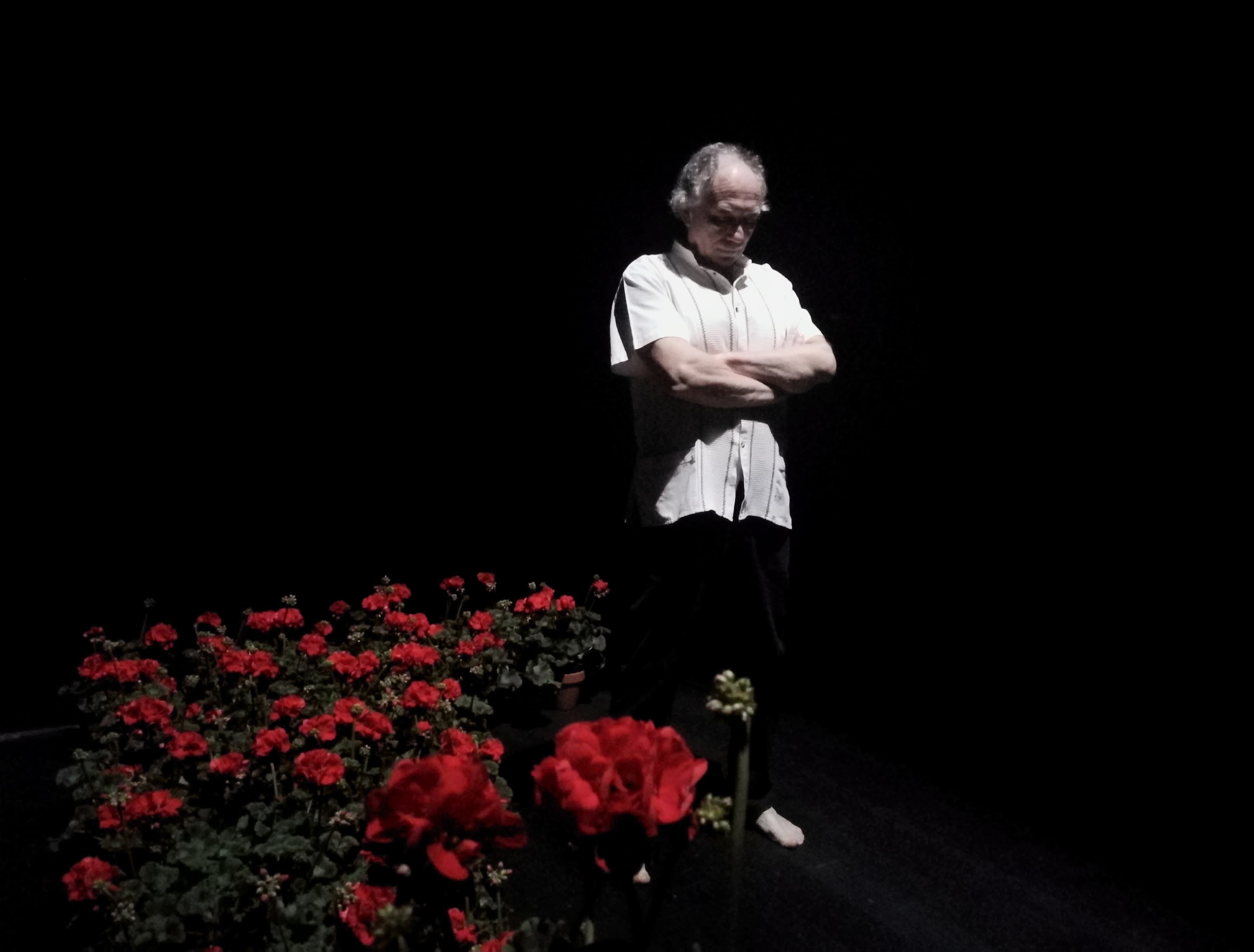 SOCIETAT DOCTOR ALONSO. Sobre la bellesa