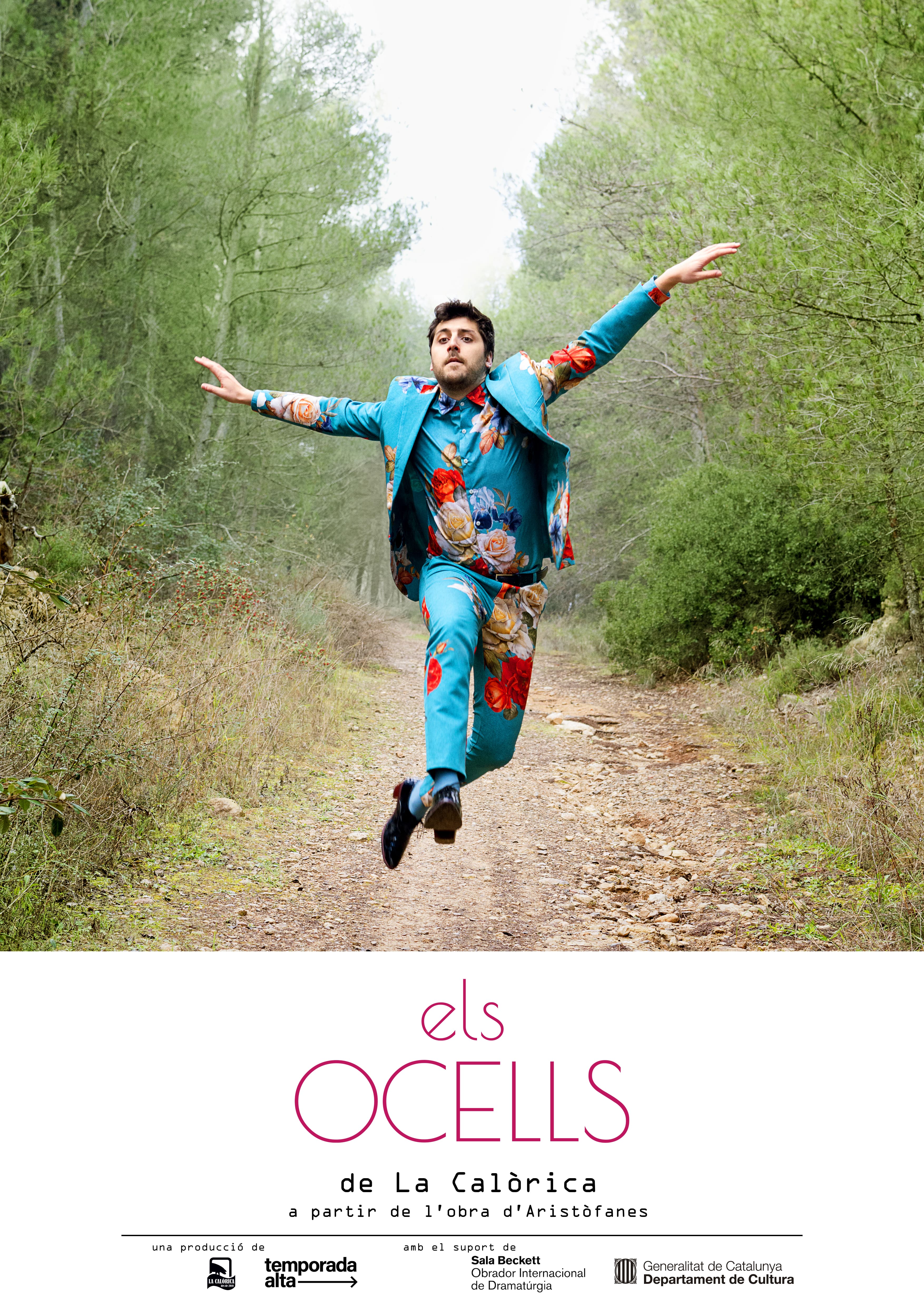 ELS OCELLS