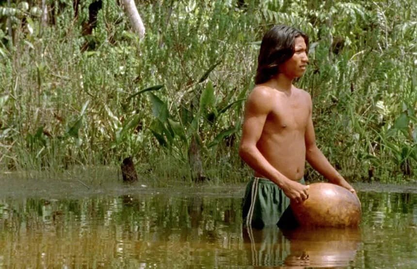 EL CANTO DE LA SELVA