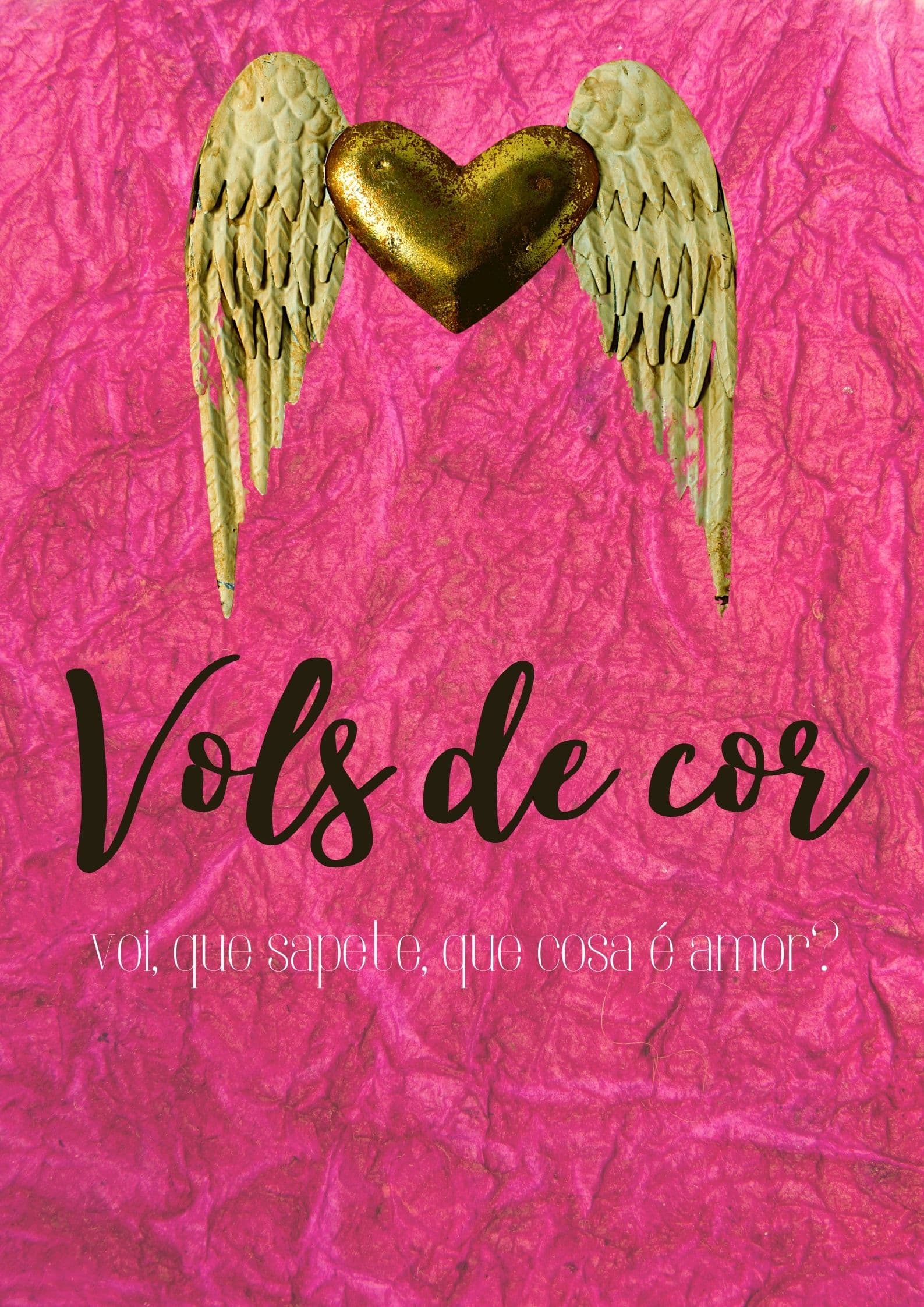 VOLS DE COR
